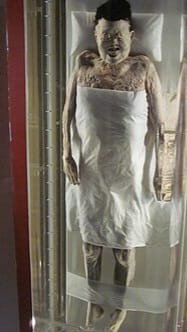 Lady Dai mummy