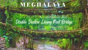 Double Decker Living Root Bridge